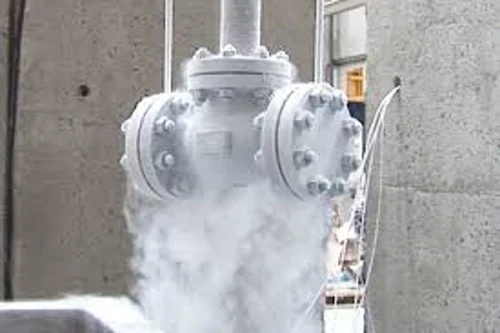 Spring Loaded Safety Valve