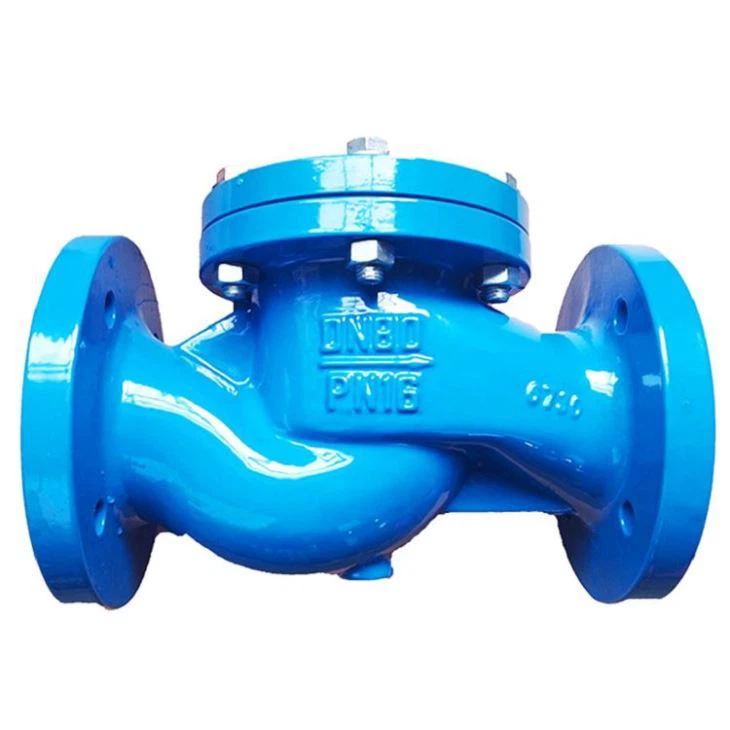 Lift Check Foot Valve