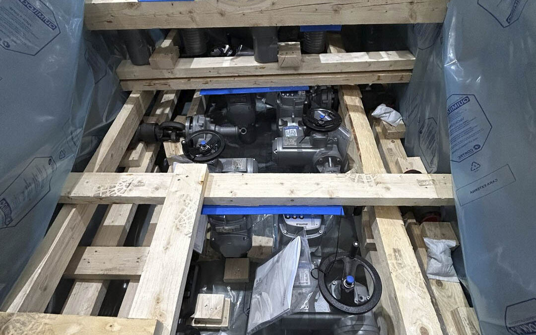 Globe Valve Packaging